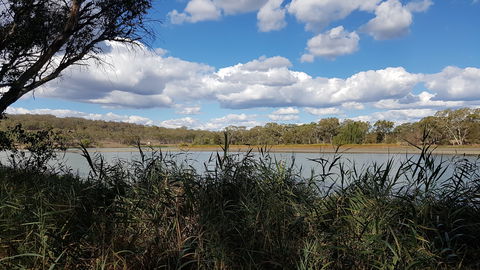 Lake Inverell Reserve - Tourism Caloundra 1