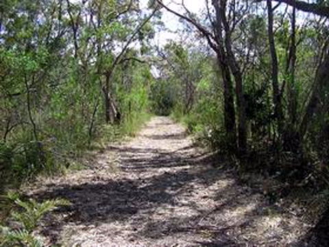 Lanky's Walk - Tourism Caloundra 0