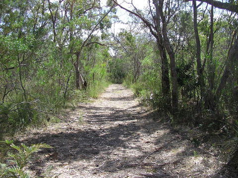 Lanky's Walk - Tourism Caloundra 2