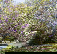 Leis Park - Tourism Caloundra