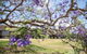 Leis Park - thumb 1