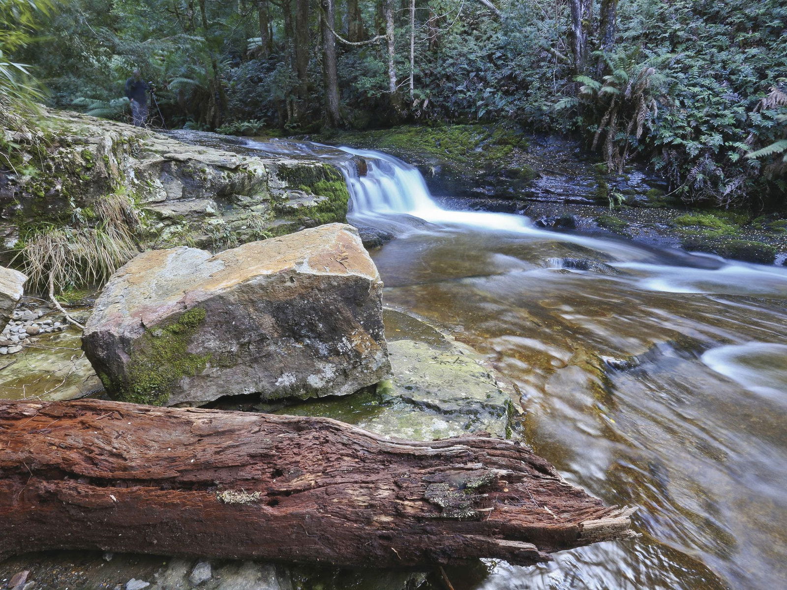 Liffey TAS Tourism Caloundra