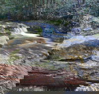 Liffey Falls Reserve - Tourism Caloundra