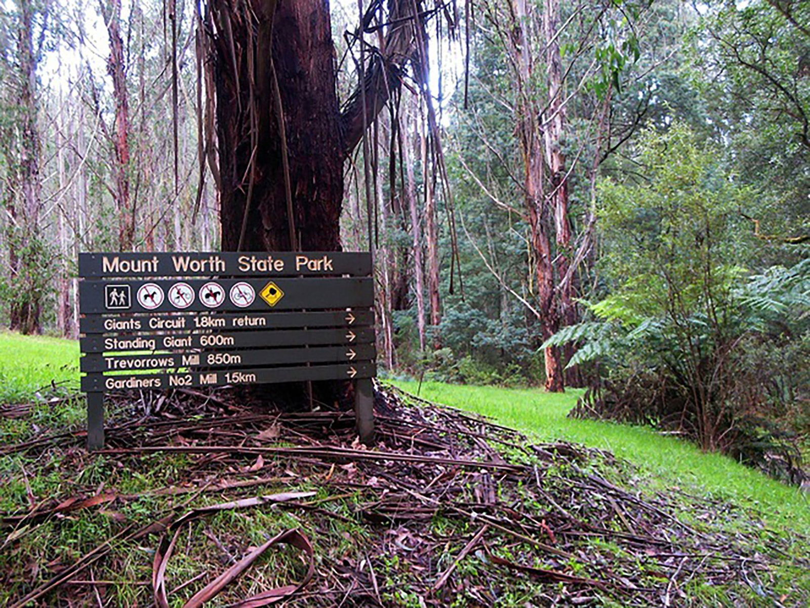 Trida VIC Tourism Caloundra