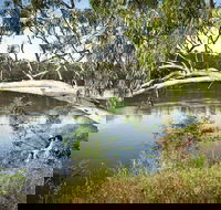 Murray Valley National Park - Tourism Caloundra