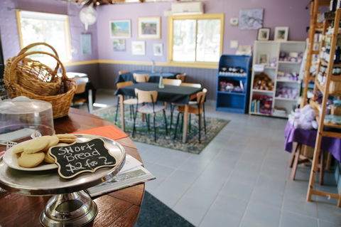 Nannup Lavender Farm - Tourism Caloundra 0