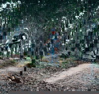 Nerang Mountain Bike Trails - Tourism Caloundra