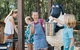 Paradise Country - thumb 1