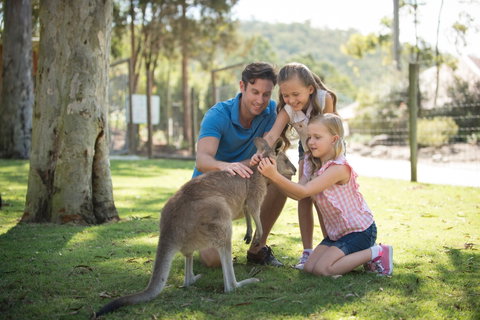 Paradise Country - Tourism Caloundra 2