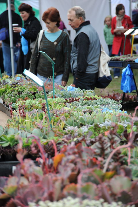 Portsea Market - Tourism Caloundra 0