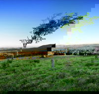 Ravensbourne - Tourism Caloundra