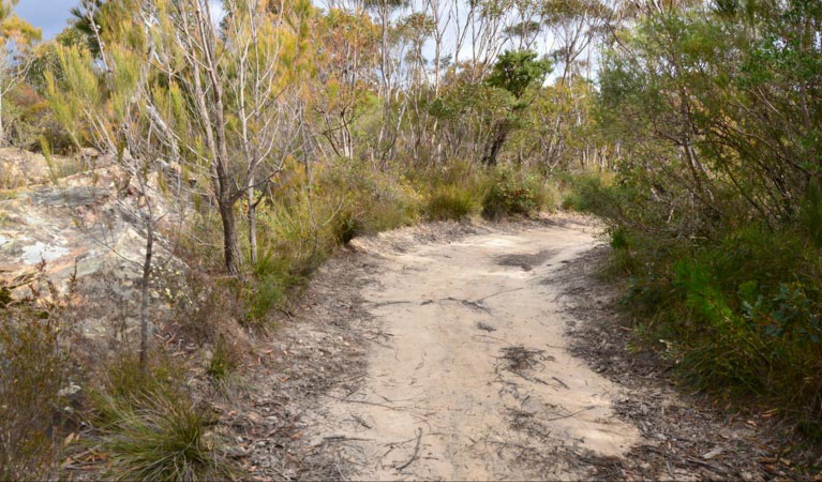 Browns Mountain NSW Tourism Caloundra