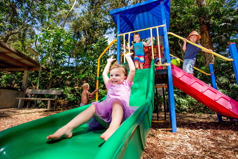 Reflections Boambee Creek Reserve - Tourism Caloundra 1