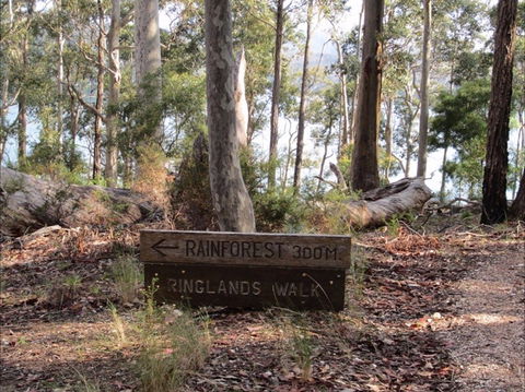 Ringlands Rotary Walk Narooma - Tourism Caloundra 0