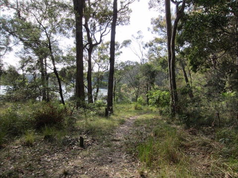 Ringlands Rotary Walk Narooma - Tourism Caloundra 2