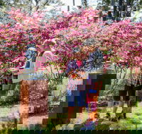 Sculpture at Petana - Tourism Caloundra