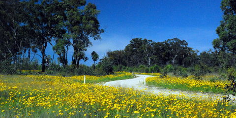 Shearer's Way - Tourism Caloundra 0