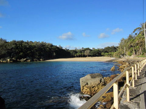 Shelly Beach: Manly - Tourism Caloundra 0
