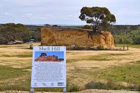Shell Hill Reserve - Tourism Caloundra 0