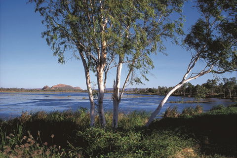 Sleeping Buddha/Elephant Rock - Tourism Caloundra 0
