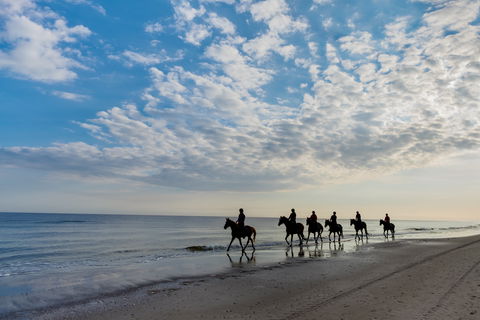 South Coast Experiences - Tourism Caloundra 2