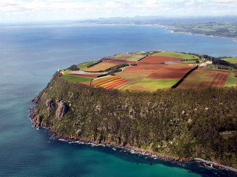 Table Cape - Tourism Caloundra 1