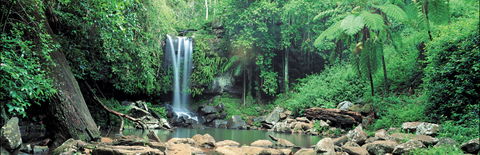Tamborine National Park - Tourism Caloundra 0