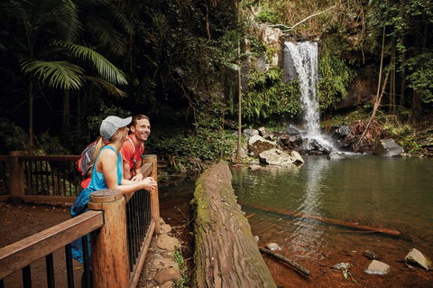Tamborine National Park - Tourism Caloundra 1