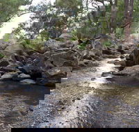 Threlfall Walking Track - Tourism Caloundra