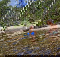 Tjaynera Falls Sandy Creek - Tourism Caloundra