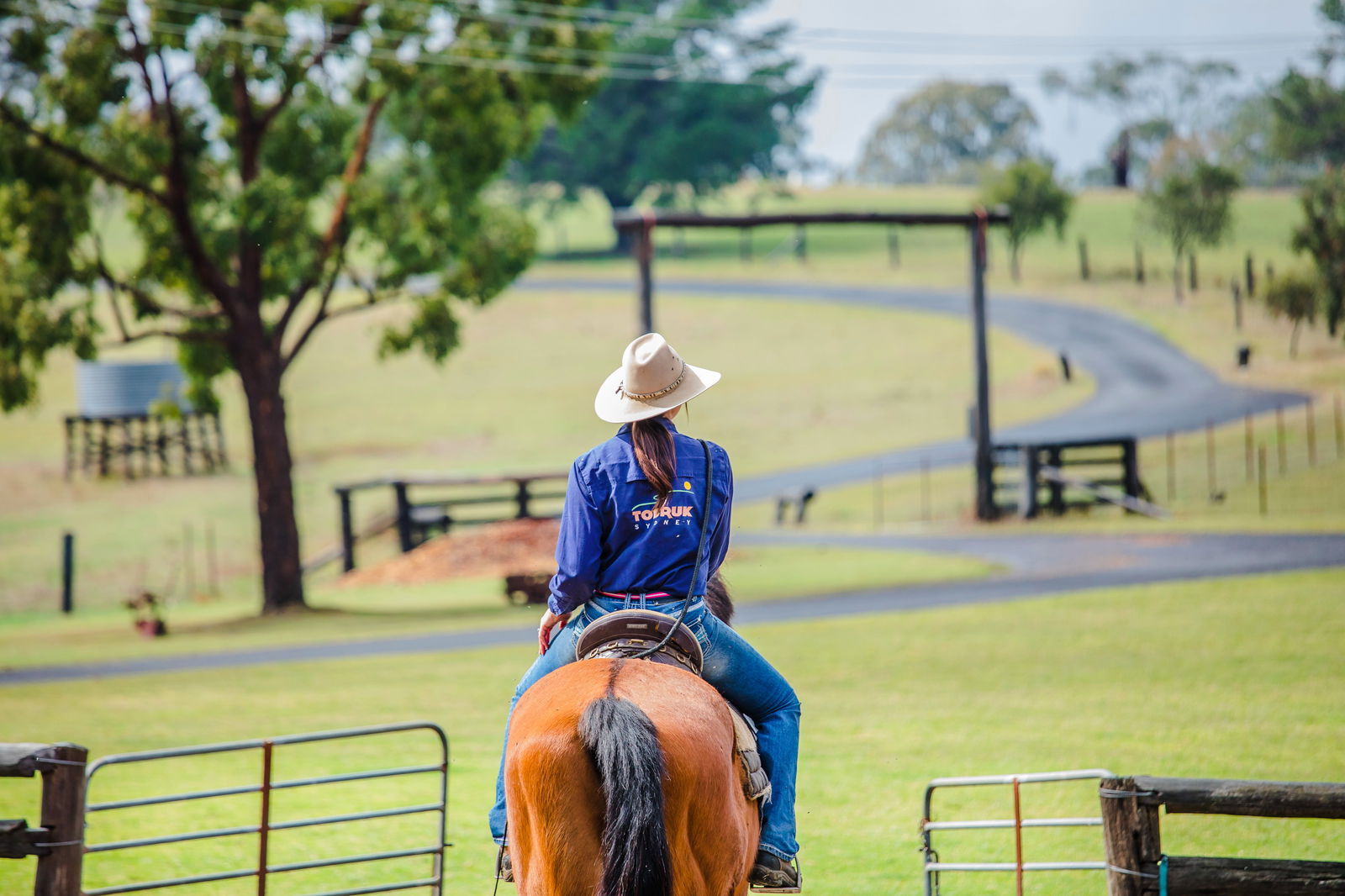 Maroota NSW Tourism Caloundra