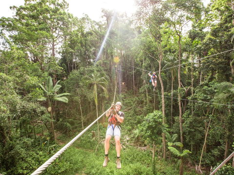 TreeTop Challenge - Sunshine Coast - Tourism Caloundra 2