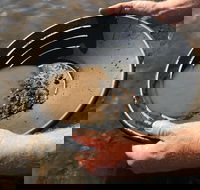 Tuena Panning for Gold - Tourism Caloundra