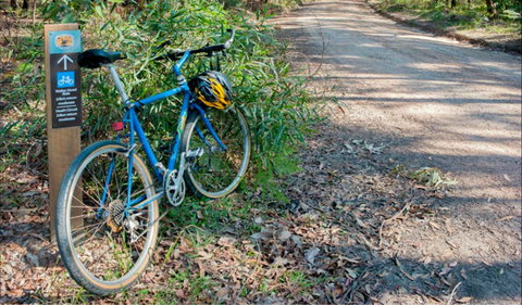 Walter Hood Ride From Cudmirrah - Tourism Caloundra 0