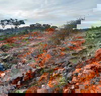 Western Ridge Walk - Tourism Caloundra