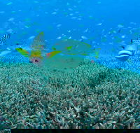 Wreck Bay Dive Site - Tourism Caloundra