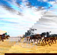 7 Day Outback Giants - Tourism Caloundra