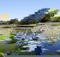 Anderson Park Botanic Gardens - Tourism Caloundra