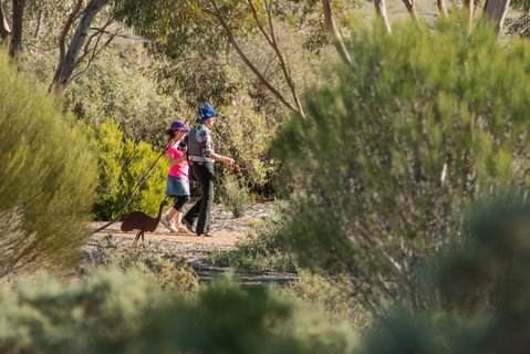 Australian Arid Lands Botanic Garden - Tourism Caloundra 0