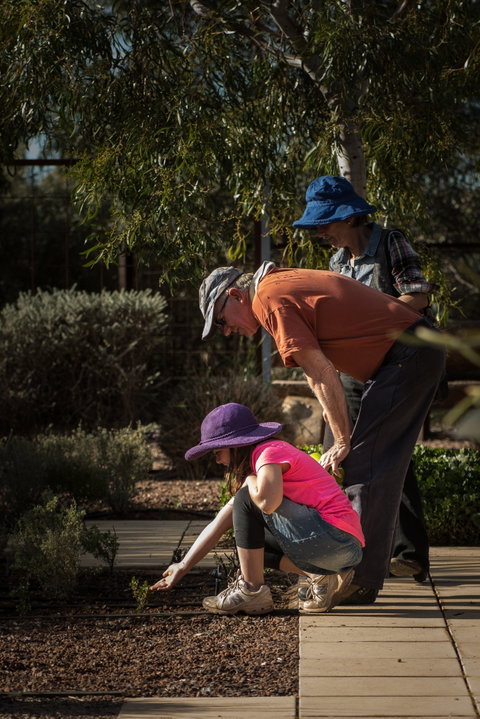 Australian Arid Lands Botanic Garden - Tourism Caloundra 1