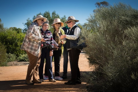 Australian Arid Lands Botanic Garden - Tourism Caloundra 2