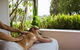 Bannisters Day Spa Mollymook - thumb 0