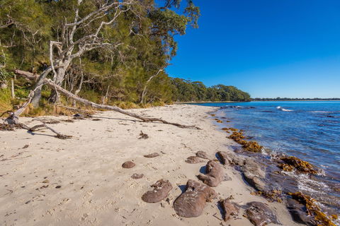 Barfleur Beach - Tourism Caloundra 0