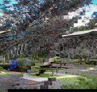 Barrington Tops State Forest - Tourism Caloundra
