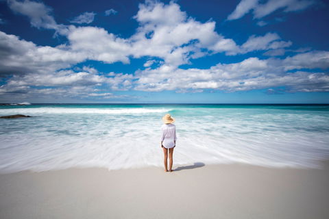 Bay Of Fires - Tourism Caloundra 1