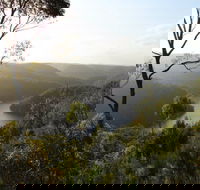 Berowra Valley National Park - Tourism Caloundra