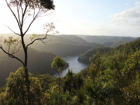 Berowra Valley National Park - Tourism Caloundra 0