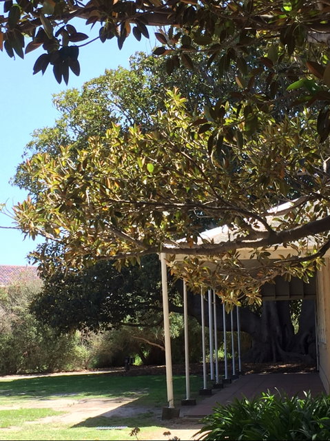 Black Rock House - Tourism Caloundra 1