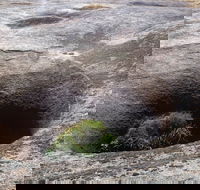Blowhole and the Rocks - Tourism Caloundra