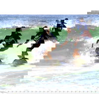 Broadbeach Surf School - Tourism Caloundra